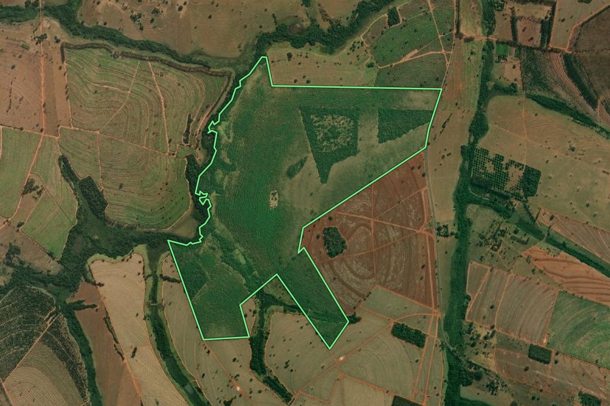 Imagem de satélite do imóvel rural em Cosmorama (SP), com o contorno declarado no CAR desenhado por cima.