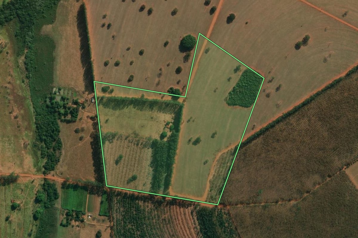 Imagem de satélite do imóvel rural em Cosmorama (SP), com o contorno declarado no CAR desenhado por cima.