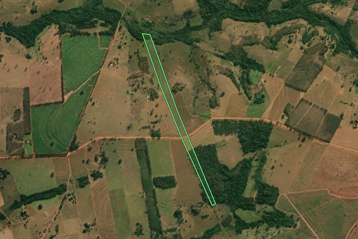 Imagem de satélite do imóvel rural em Cosmorama (SP), com o contorno declarado no CAR desenhado por cima.