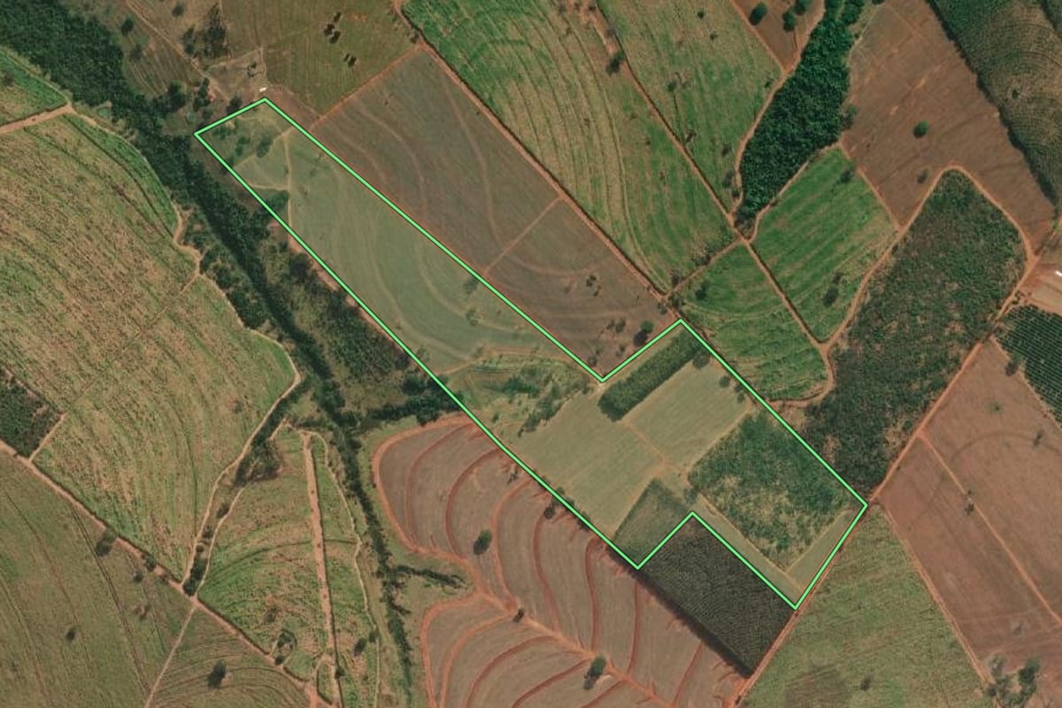 Imagem de satélite do imóvel rural em Cosmorama (SP), com o contorno declarado no CAR desenhado por cima.