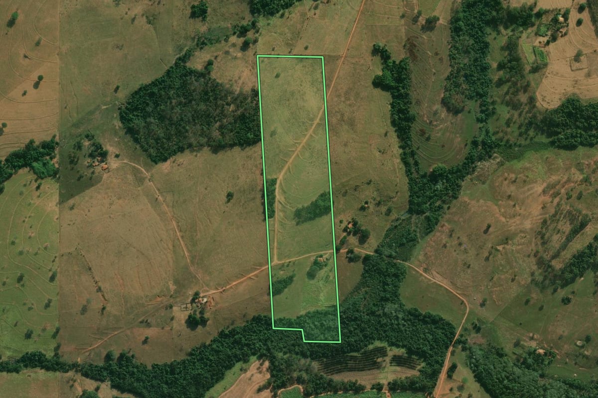 Imagem de satélite do imóvel rural em Cosmorama (SP), com o contorno declarado no CAR desenhado por cima.