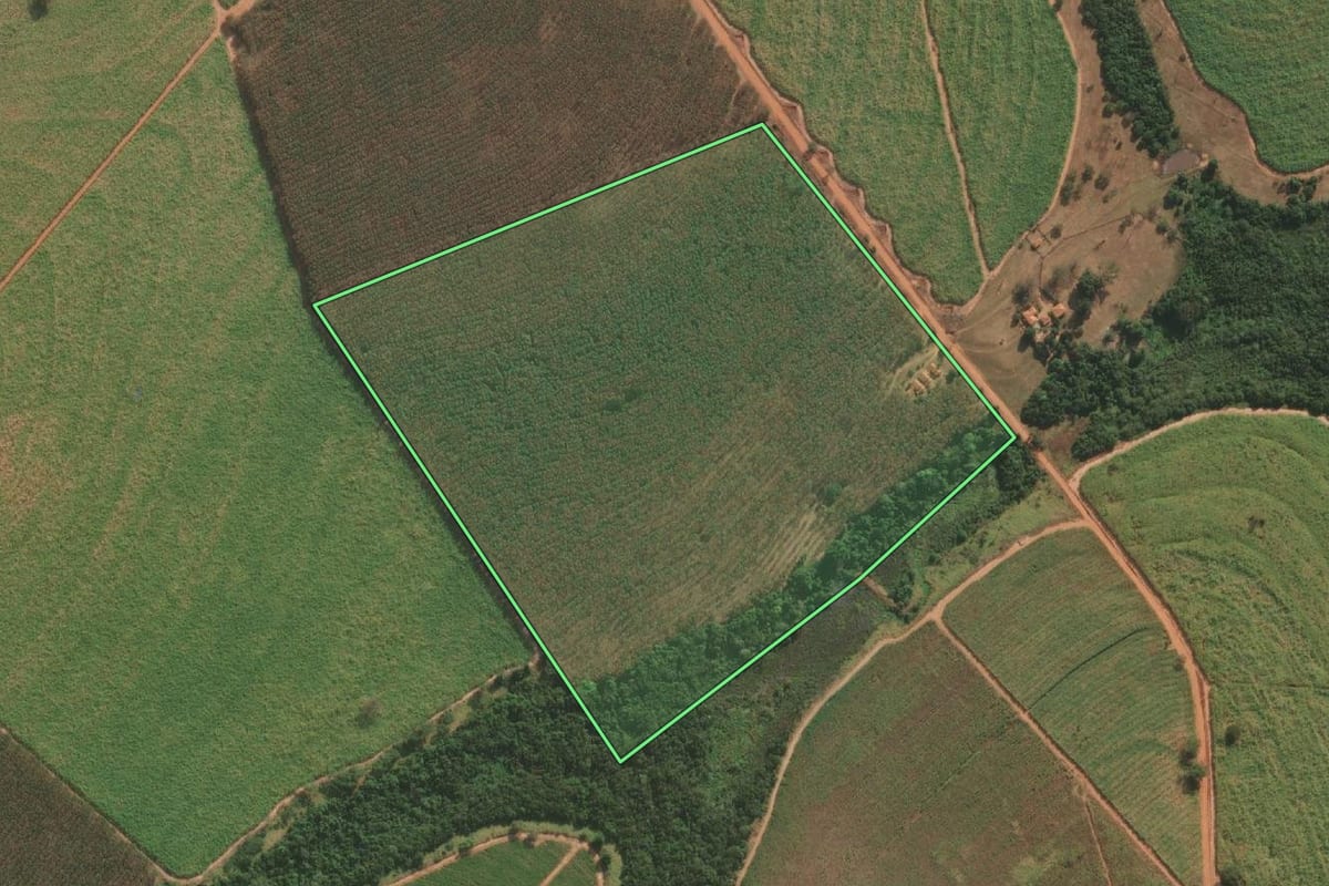 Imagem de satélite do imóvel rural em Cosmorama (SP), com o contorno declarado no CAR desenhado por cima.