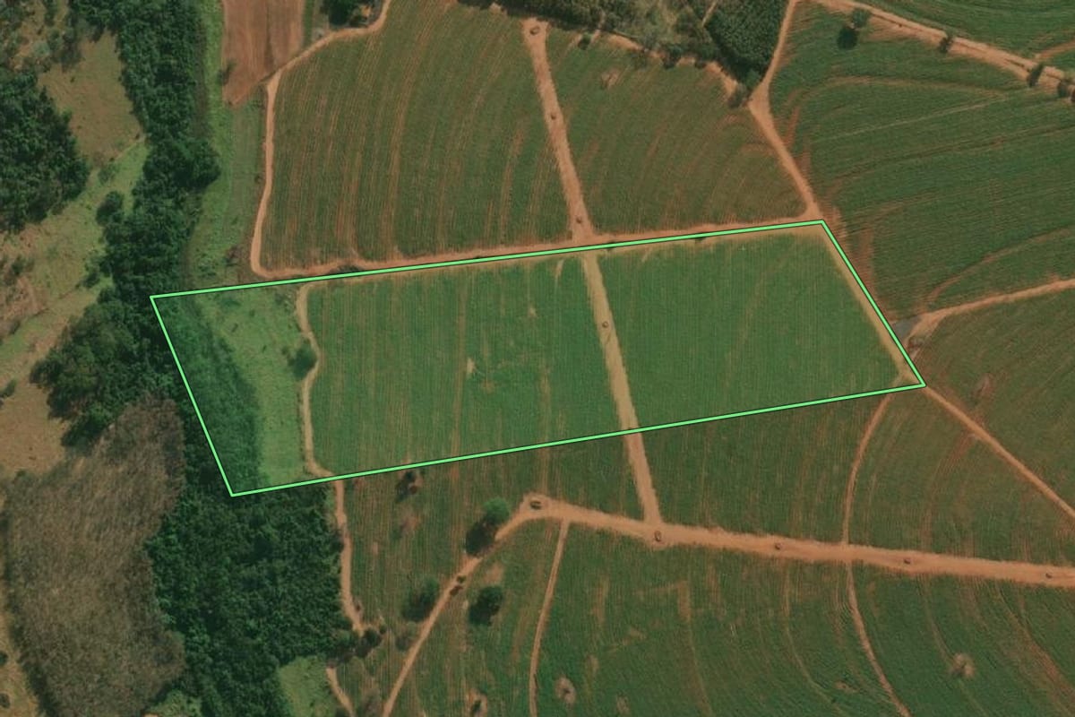 Imagem de satélite do imóvel rural em Cosmorama (SP), com o contorno declarado no CAR desenhado por cima.