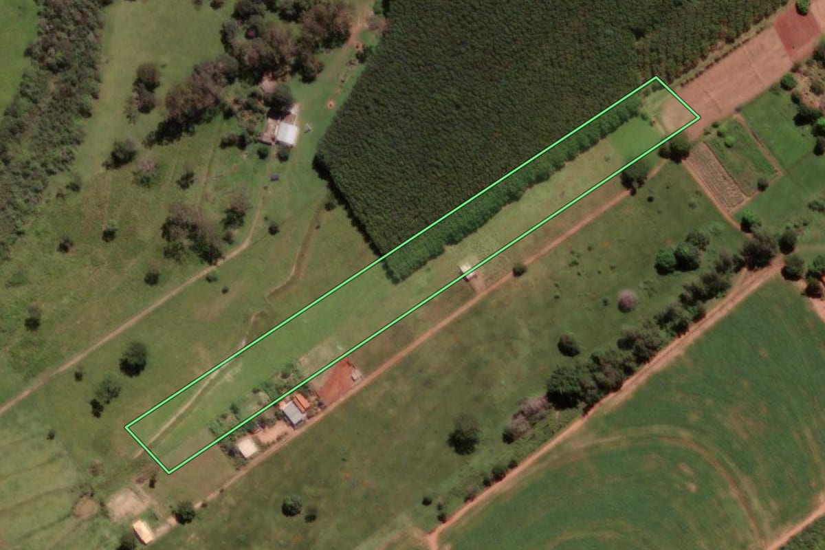 Imagem de satélite do imóvel rural em Cosmorama (SP), com o contorno declarado no CAR desenhado por cima.
