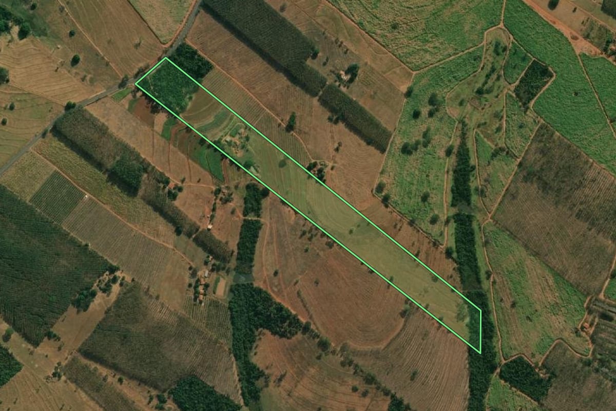 Imagem de satélite do imóvel rural em Cosmorama (SP), com o contorno declarado no CAR desenhado por cima.