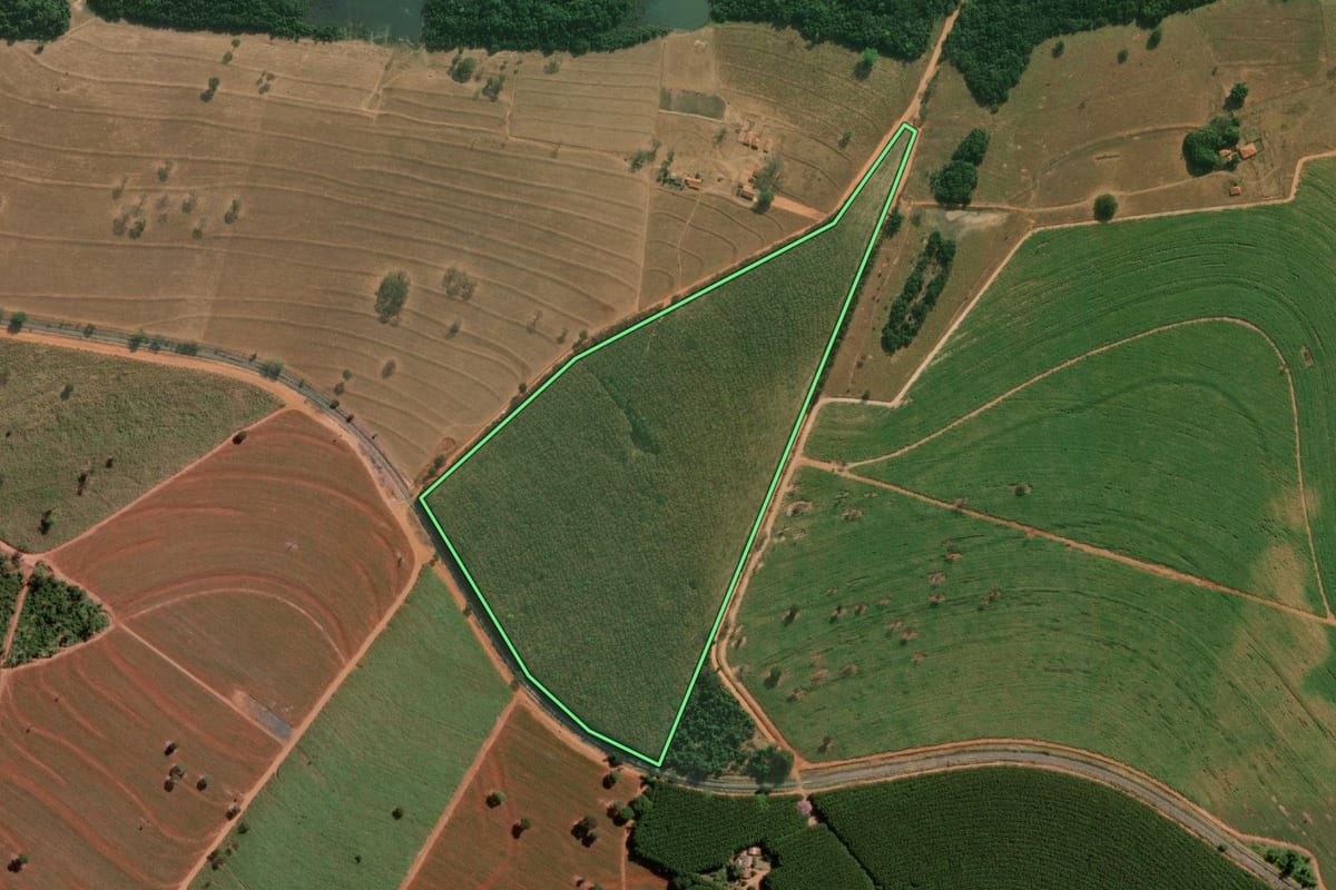 Imagem de satélite do imóvel rural em Cosmorama (SP), com o contorno declarado no CAR desenhado por cima.