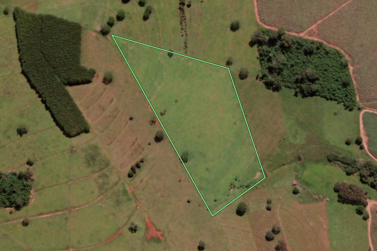 Imagem de satélite do imóvel rural em Cosmorama (SP), com o contorno declarado no CAR desenhado por cima.