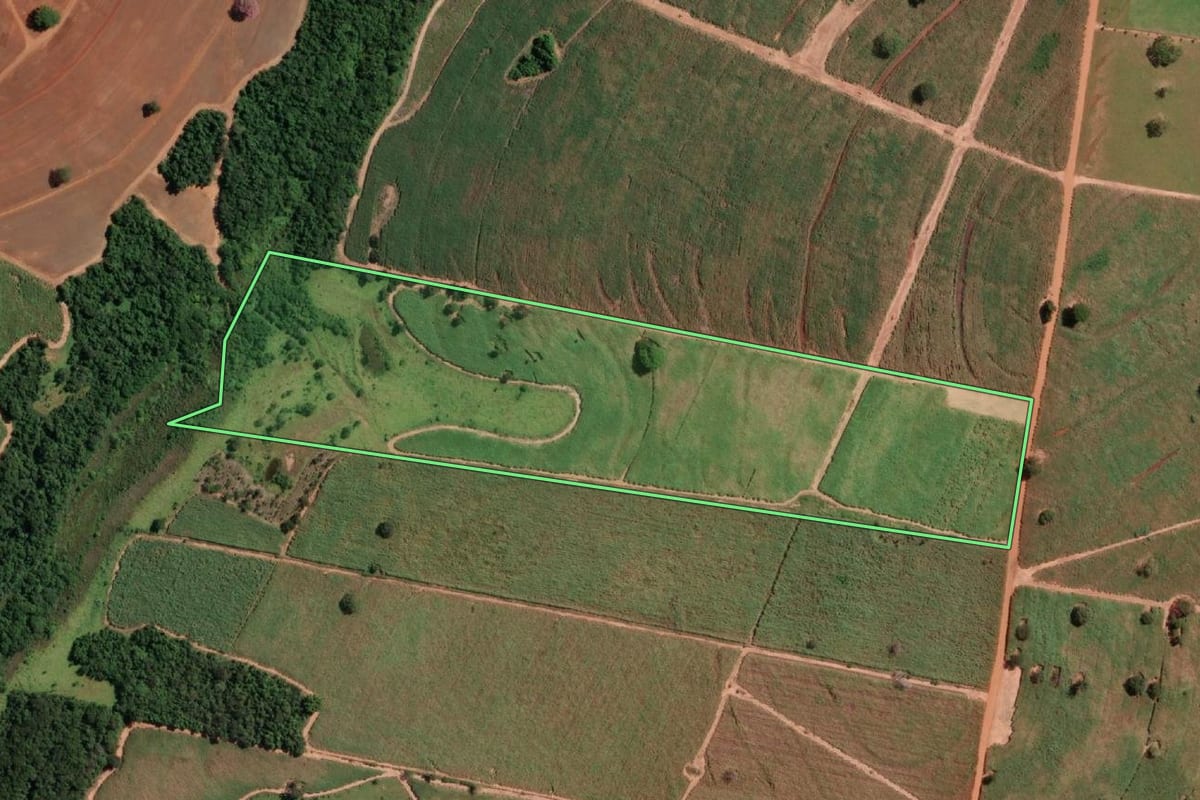 Imagem de satélite do imóvel rural em Cosmorama (SP), com o contorno declarado no CAR desenhado por cima.