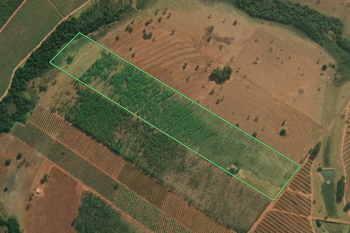 Imagem de satélite do imóvel rural em Cosmorama (SP), com o contorno declarado no CAR desenhado por cima.