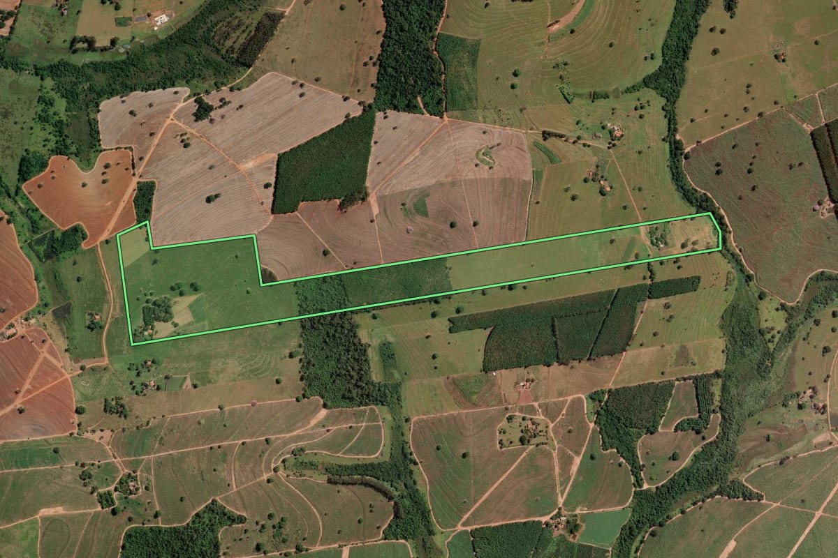 Imagem de satélite do imóvel rural em Cosmorama (SP), com o contorno declarado no CAR desenhado por cima.