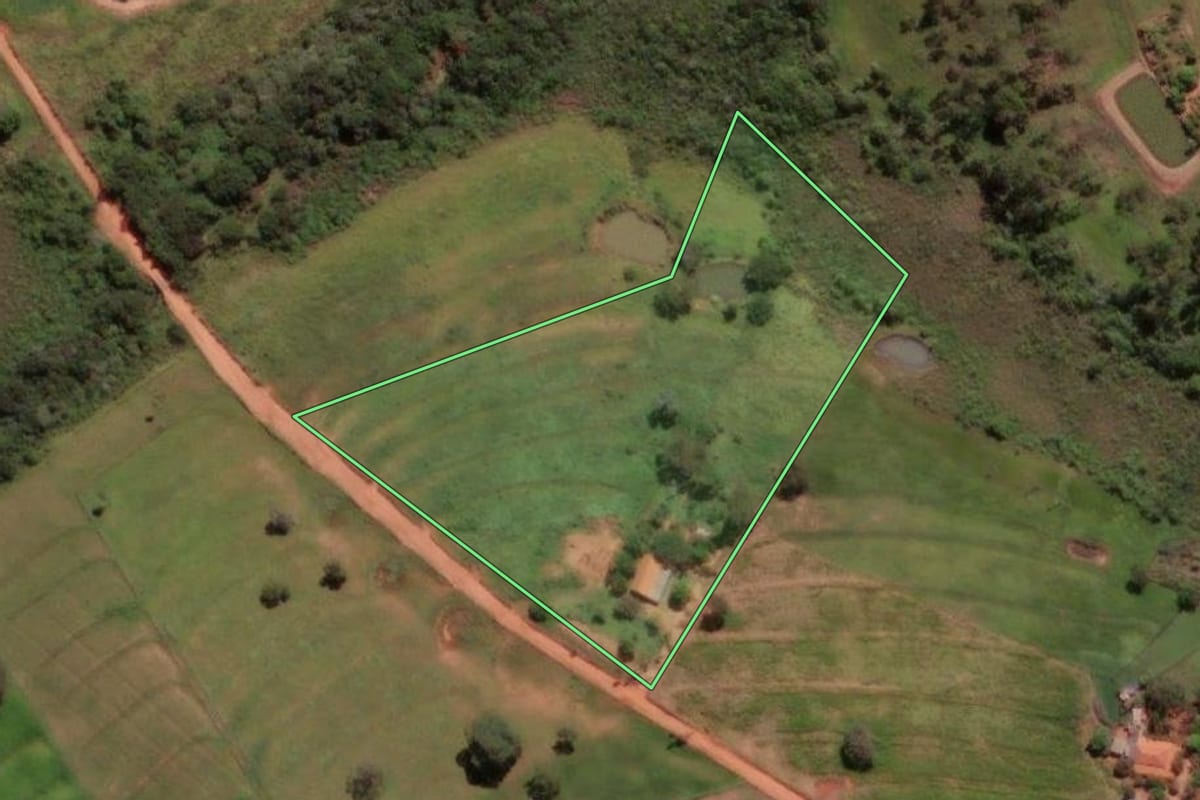 Imagem de satélite do imóvel rural em Cosmorama (SP), com o contorno declarado no CAR desenhado por cima.