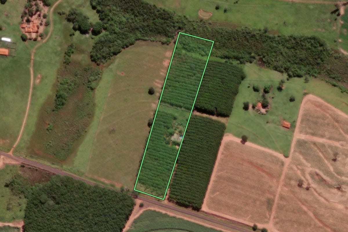 Imagem de satélite do imóvel rural em Cosmorama (SP), com o contorno declarado no CAR desenhado por cima.