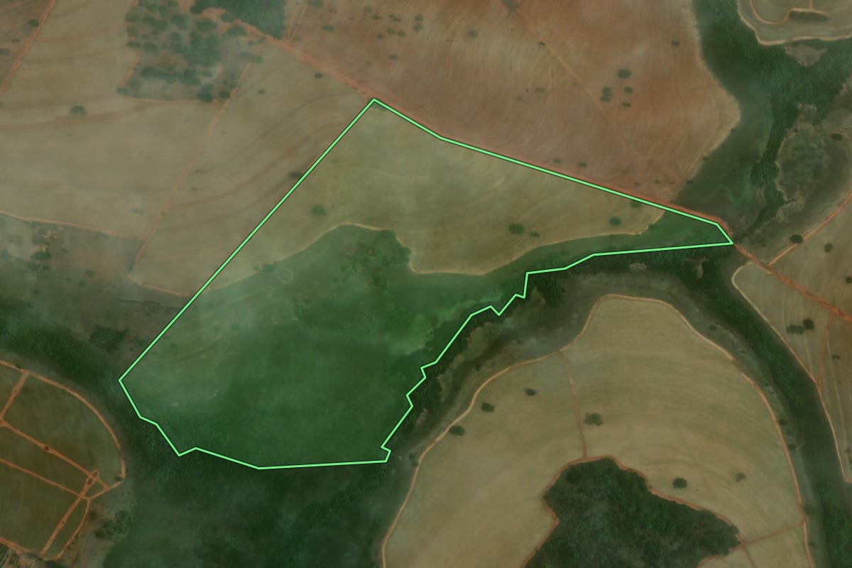 Imagem de satélite do imóvel rural em Cosmorama (SP), com o contorno declarado no CAR desenhado por cima.