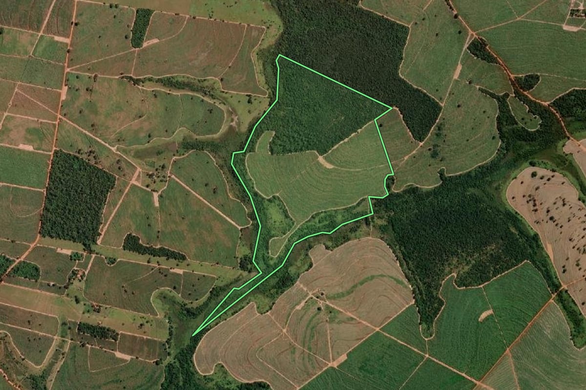 Imagem de satélite do imóvel rural em Cosmorama (SP), com o contorno declarado no CAR desenhado por cima.