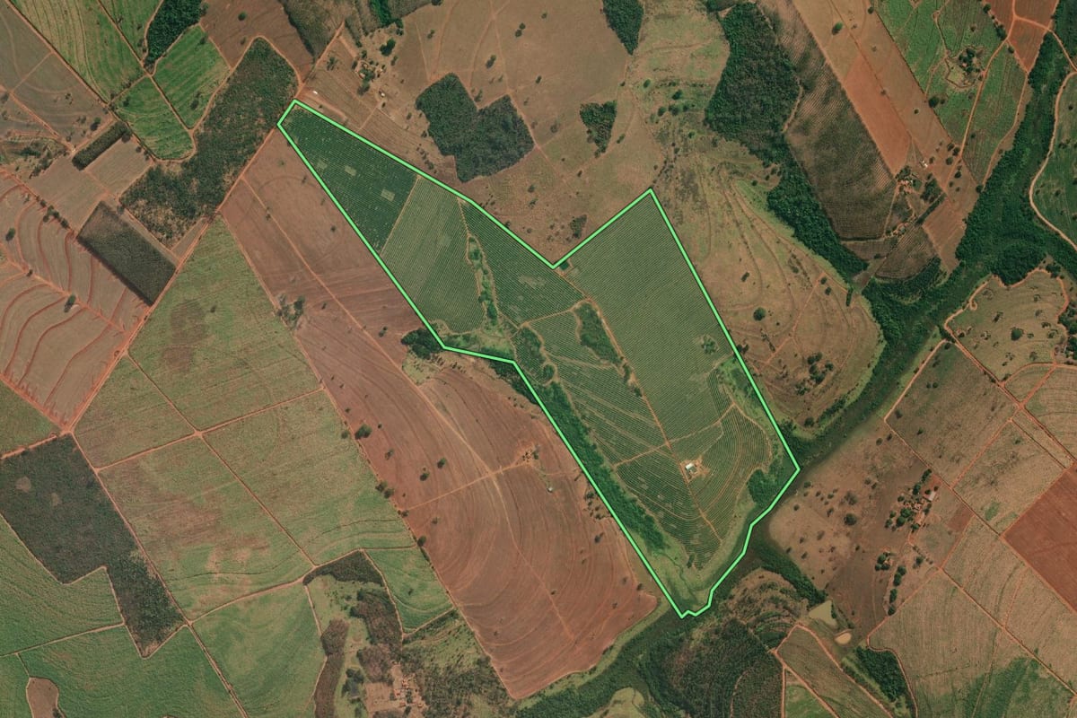Imagem de satélite do imóvel rural em Cosmorama (SP), com o contorno declarado no CAR desenhado por cima.