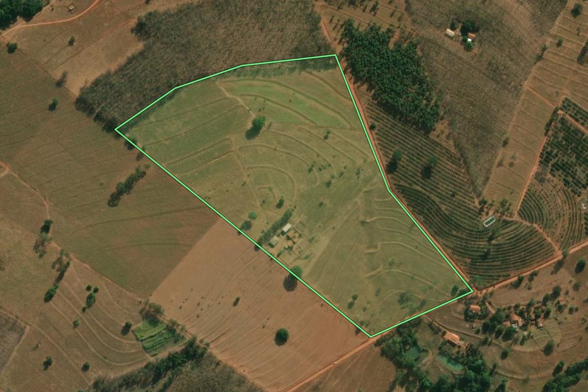 Imagem de satélite do imóvel rural em Cosmorama (SP), com o contorno declarado no CAR desenhado por cima.