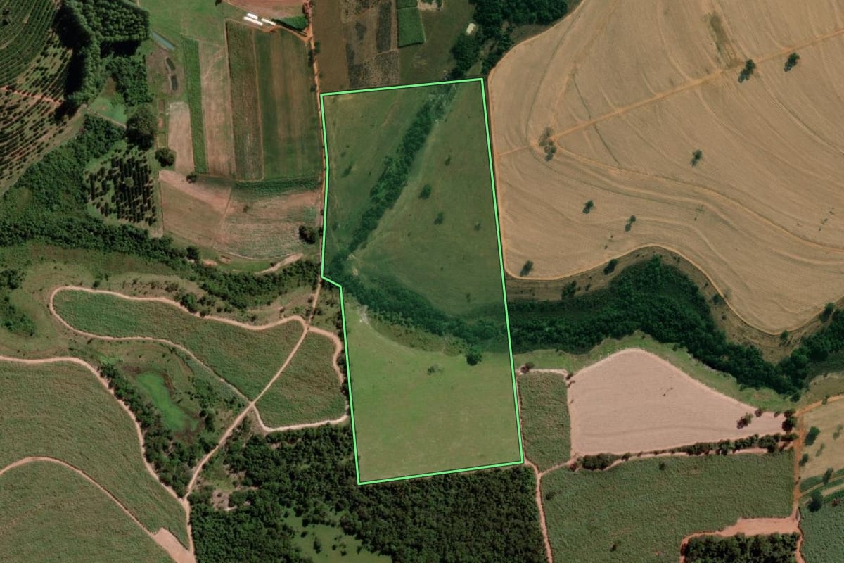 Imagem de satélite do imóvel rural em Cosmorama (SP), com o contorno declarado no CAR desenhado por cima.