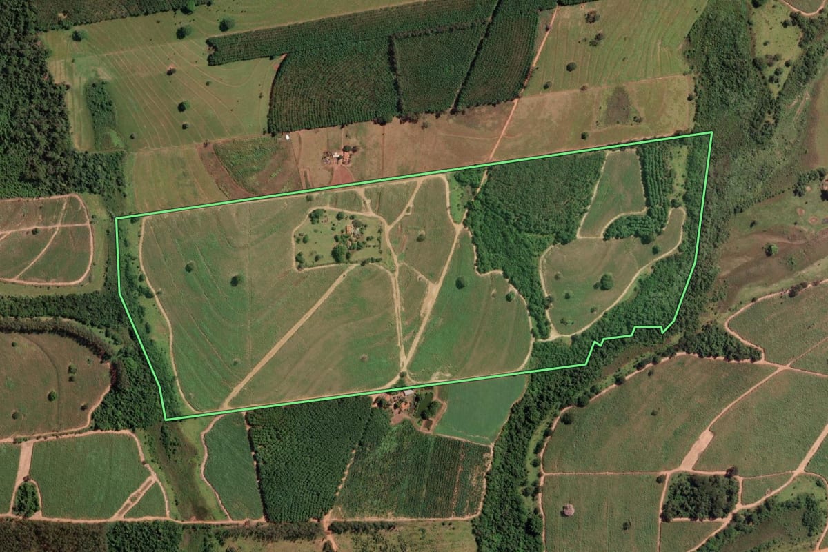 Imagem de satélite do imóvel rural em Cosmorama (SP), com o contorno declarado no CAR desenhado por cima.