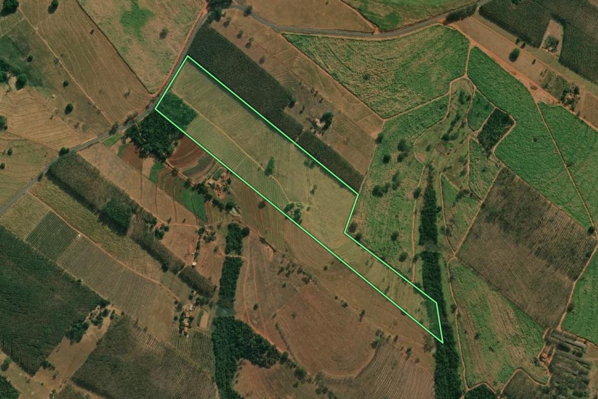 Imagem de satélite do imóvel rural em Cosmorama (SP), com o contorno declarado no CAR desenhado por cima.