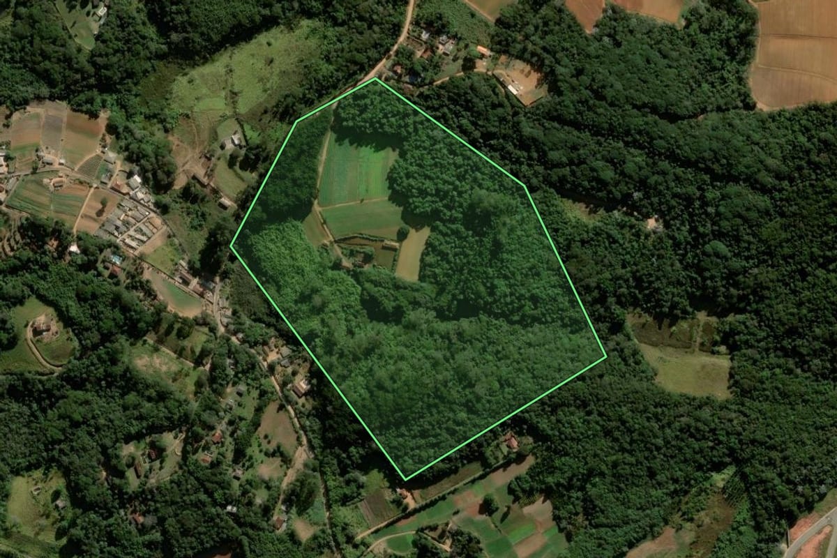 Imagem de satélite do imóvel rural em Cotia (SP), com o contorno declarado no CAR desenhado por cima.