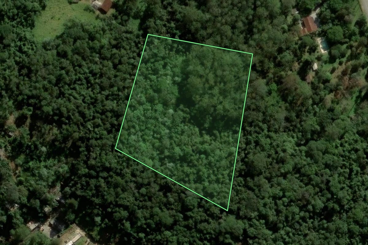 Imagem de satélite do imóvel rural em Cotia (SP), com o contorno declarado no CAR desenhado por cima.