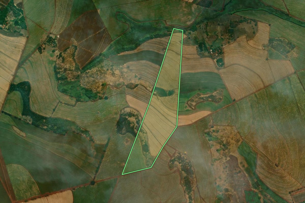 Imagem de satélite do imóvel rural em Cravinhos (SP), com o contorno declarado no CAR desenhado por cima.