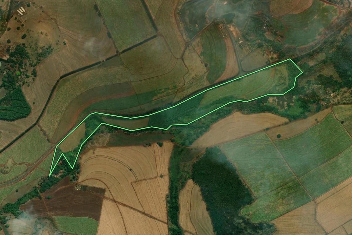 Imagem de satélite do imóvel rural em Cravinhos (SP), com o contorno declarado no CAR desenhado por cima.