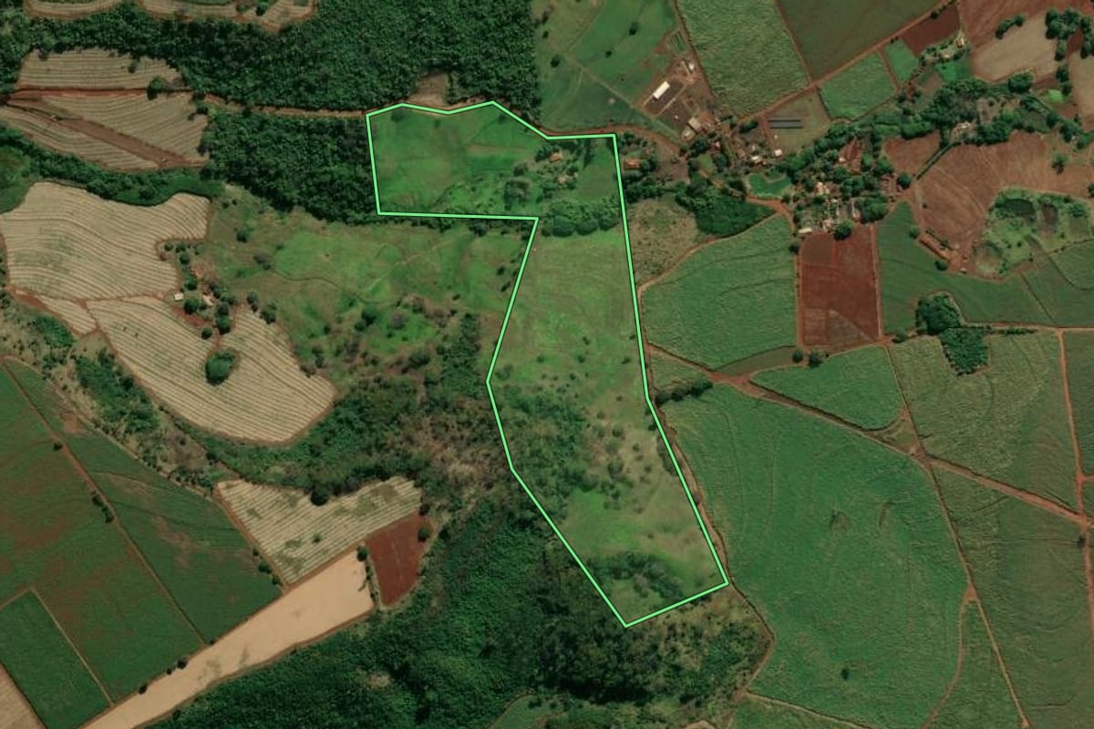 Imagem de satélite do imóvel rural em Cravinhos (SP), com o contorno declarado no CAR desenhado por cima.