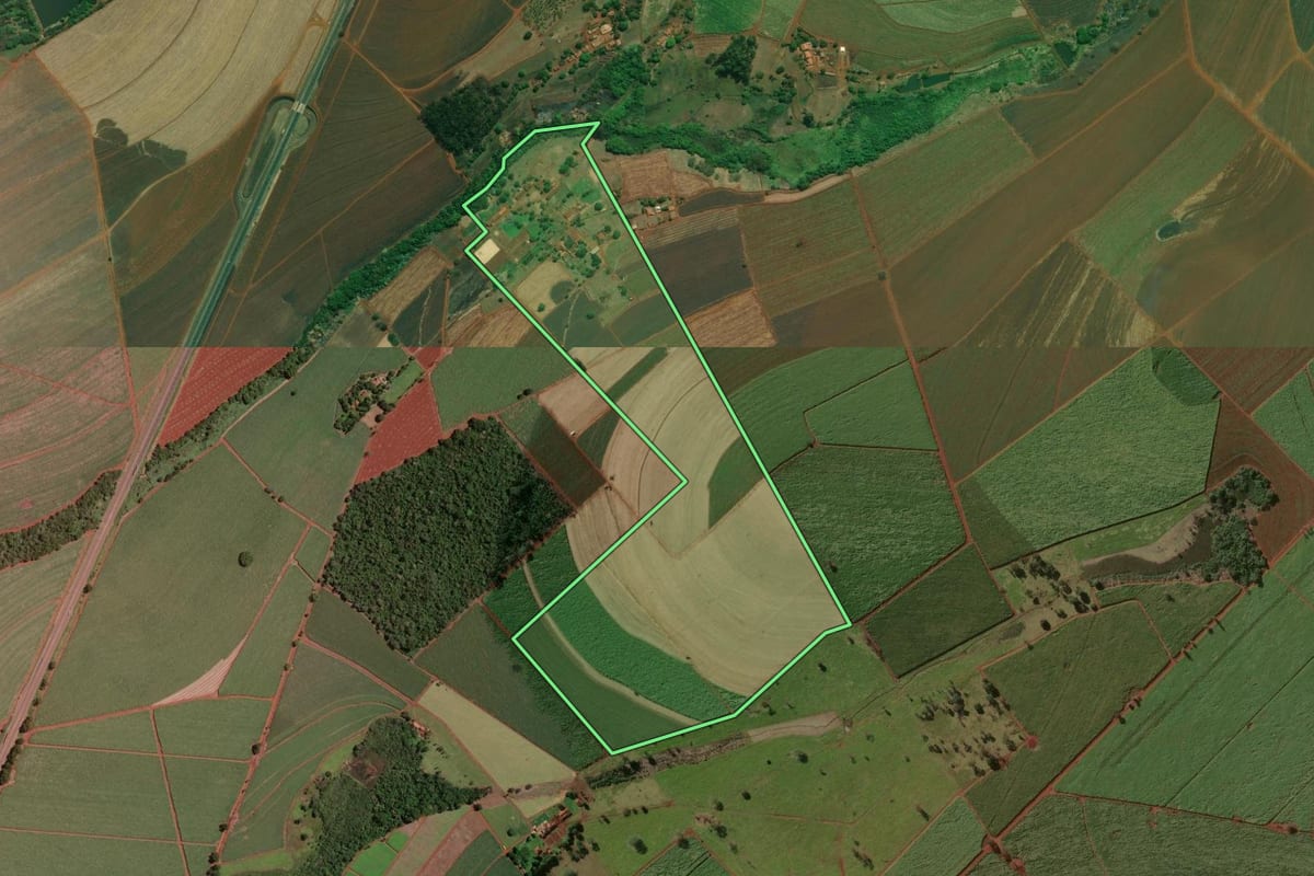Imagem de satélite do imóvel rural em Cravinhos (SP), com o contorno declarado no CAR desenhado por cima.
