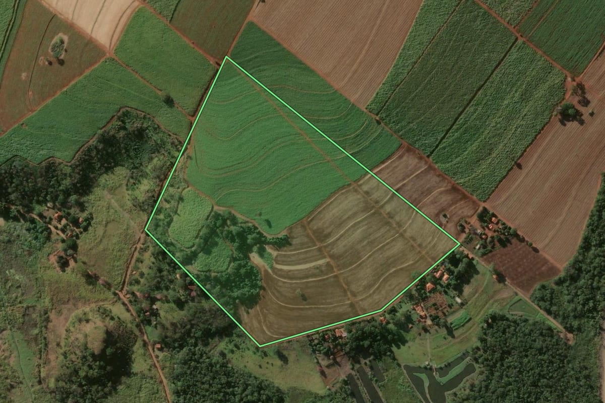 Imagem de satélite do imóvel rural em Cravinhos (SP), com o contorno declarado no CAR desenhado por cima.