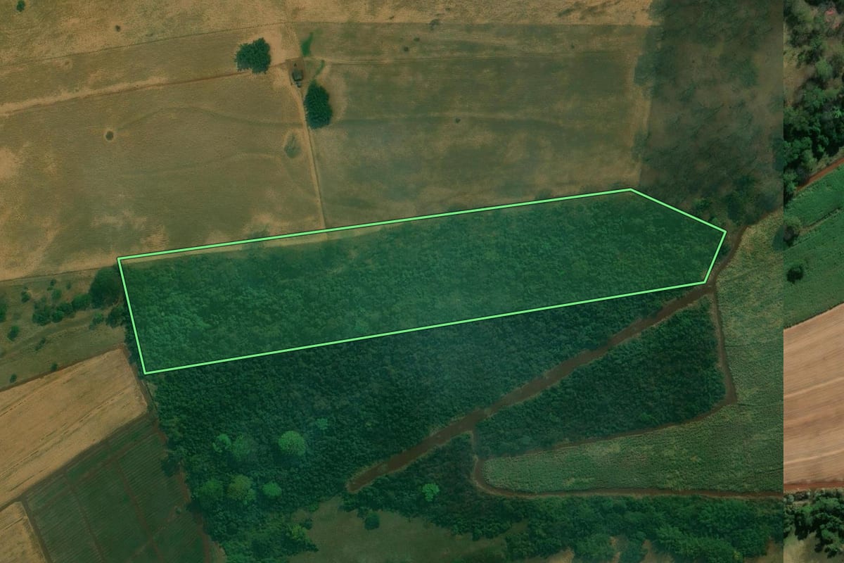 Imagem de satélite do imóvel rural em Cravinhos (SP), com o contorno declarado no CAR desenhado por cima.