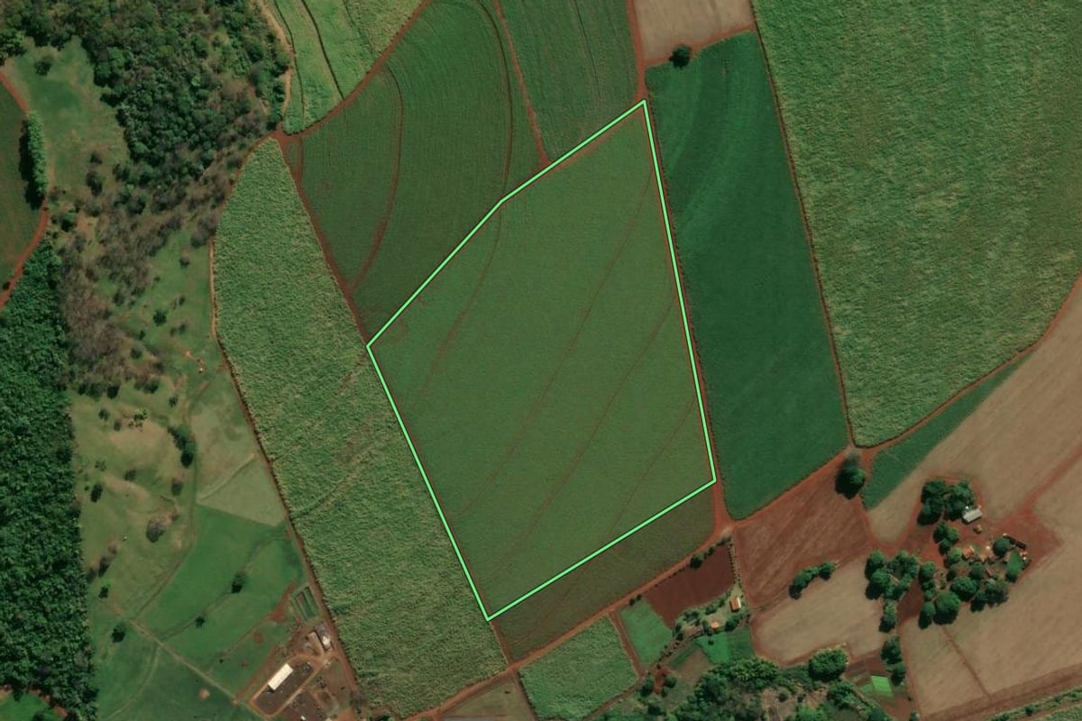 Imagem de satélite do imóvel rural em Cravinhos (SP), com o contorno declarado no CAR desenhado por cima.