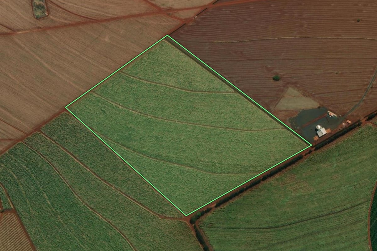 Imagem de satélite do imóvel rural em Cravinhos (SP), com o contorno declarado no CAR desenhado por cima.