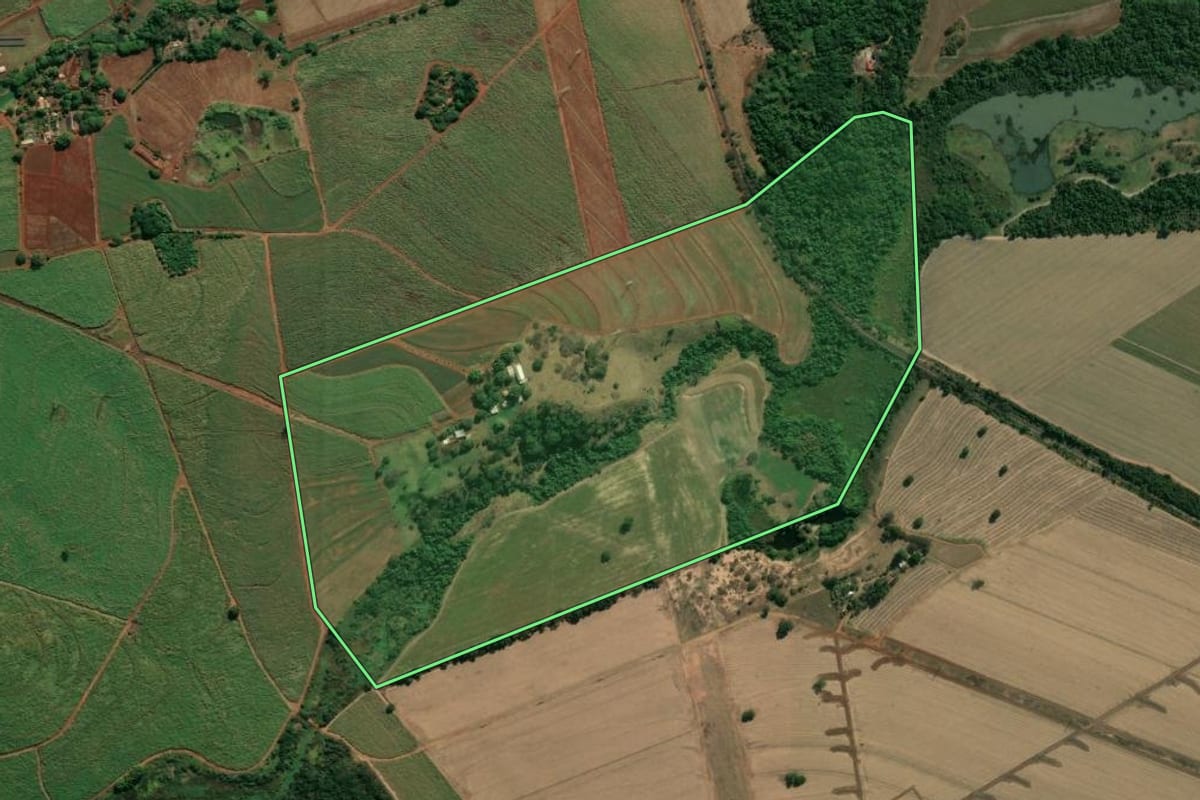 Imagem de satélite do imóvel rural em Cravinhos (SP), com o contorno declarado no CAR desenhado por cima.
