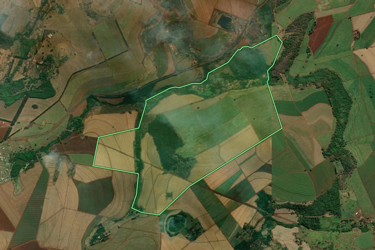 Imagem de satélite do imóvel rural em Cravinhos (SP), com o contorno declarado no CAR desenhado por cima.