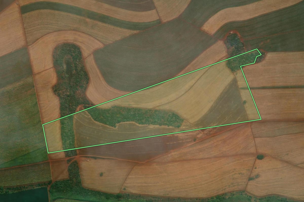 Imagem de satélite do imóvel rural em Cravinhos (SP), com o contorno declarado no CAR desenhado por cima.