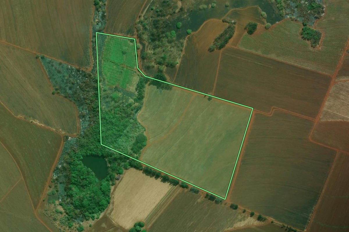 Imagem de satélite do imóvel rural em Cravinhos (SP), com o contorno declarado no CAR desenhado por cima.