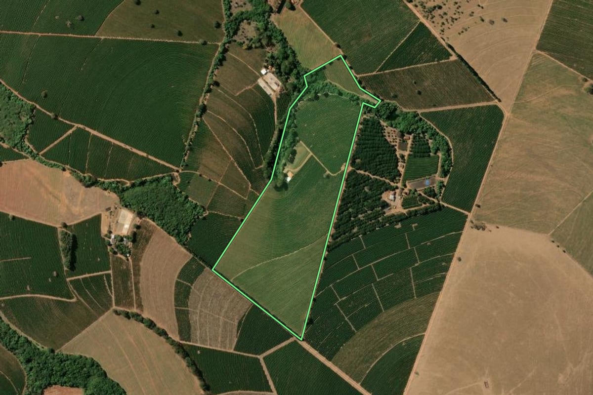 Imagem de satélite do imóvel rural em Cristais Paulista (SP), com o contorno declarado no CAR desenhado por cima.