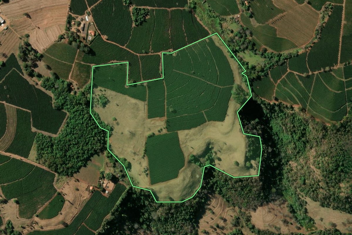 Imagem de satélite do imóvel rural em Cristais Paulista (SP), com o contorno declarado no CAR desenhado por cima.