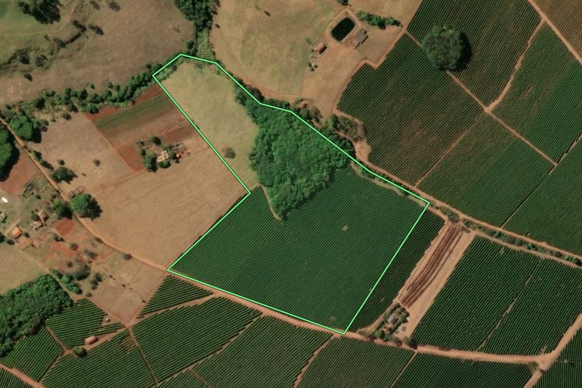 Imagem de satélite do imóvel rural em Cristais Paulista (SP), com o contorno declarado no CAR desenhado por cima.