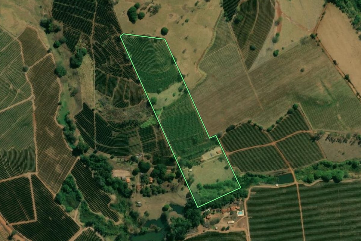 Imagem de satélite do imóvel rural em Cristais Paulista (SP), com o contorno declarado no CAR desenhado por cima.