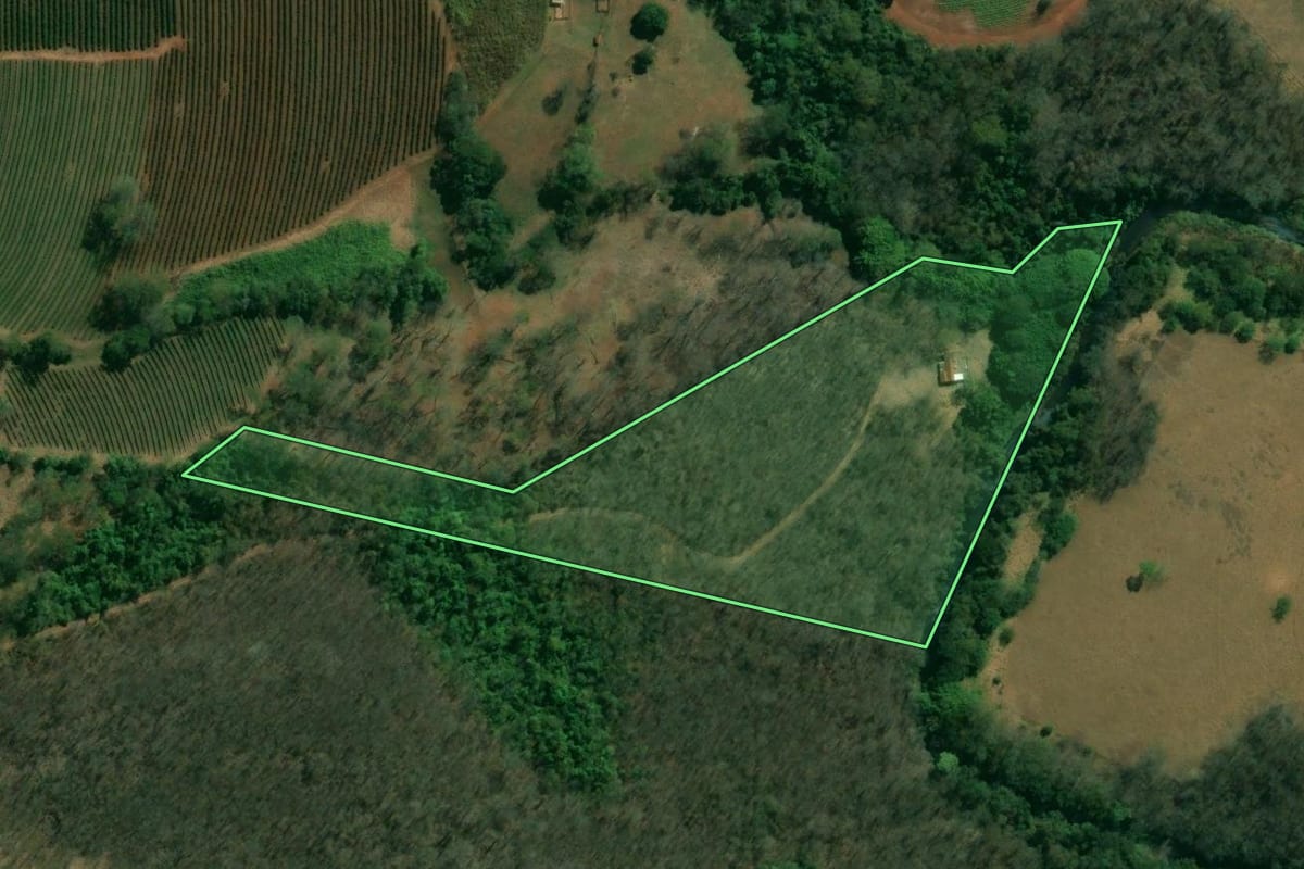 Imagem de satélite do imóvel rural em Cristais Paulista (SP), com o contorno declarado no CAR desenhado por cima.