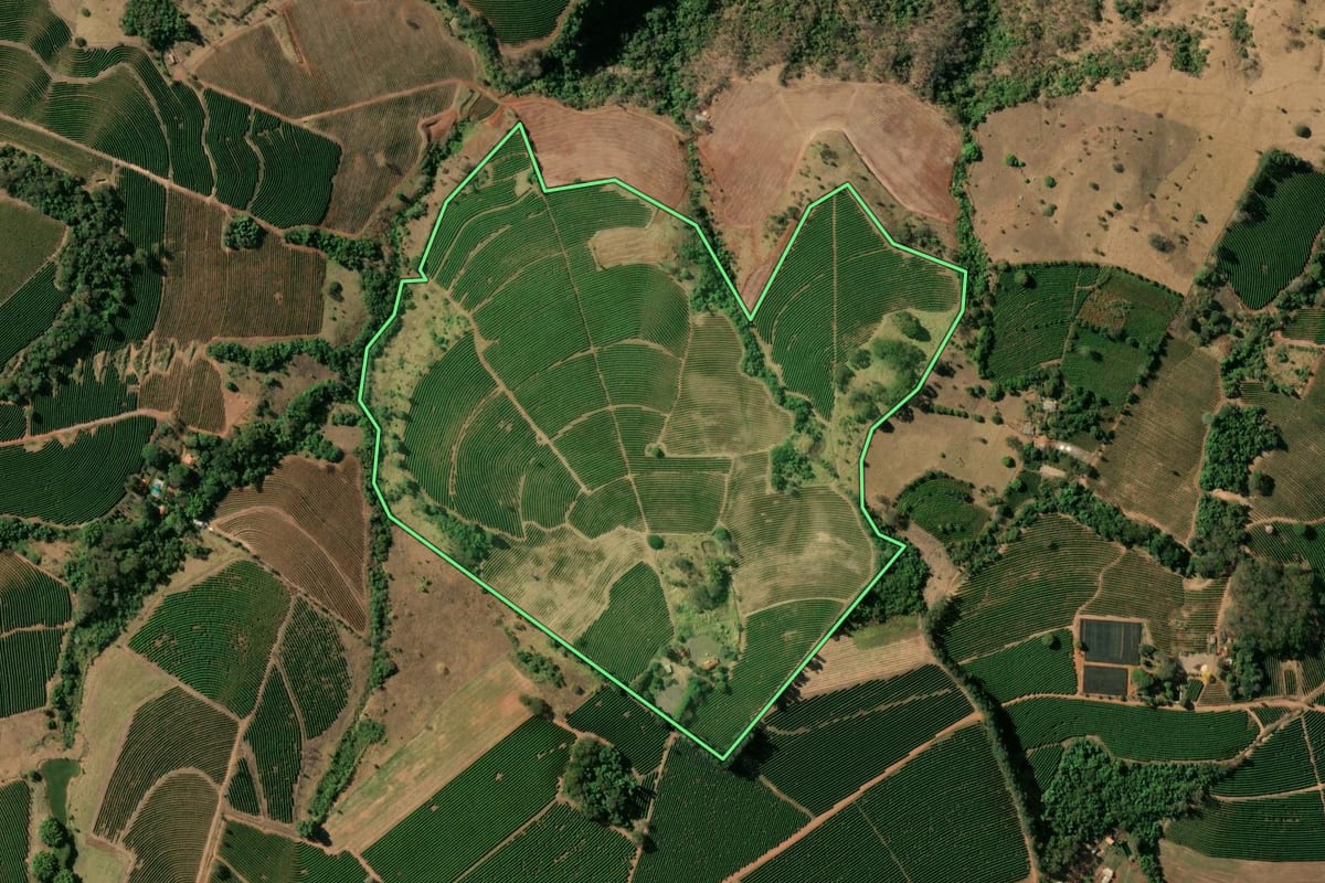 Imagem de satélite do imóvel rural em Cristais Paulista (SP), com o contorno declarado no CAR desenhado por cima.