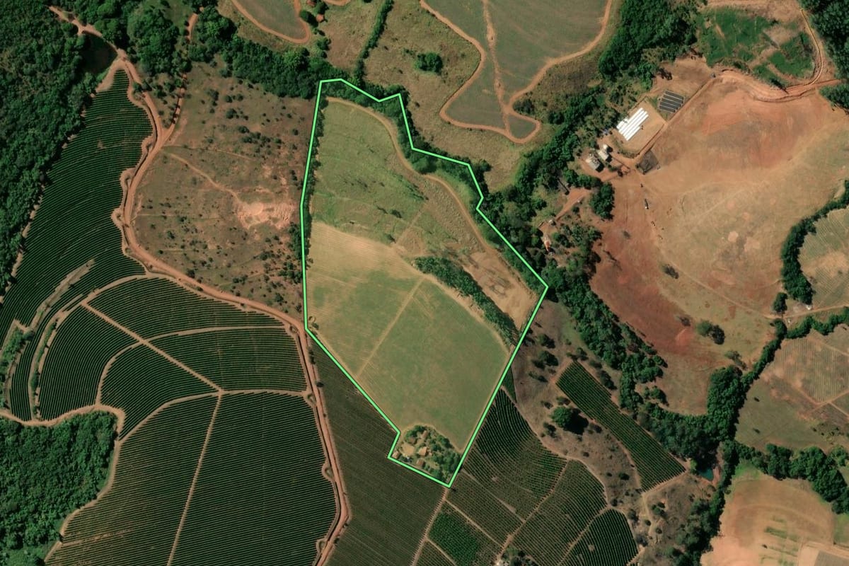 Imagem de satélite do imóvel rural em Cristais Paulista (SP), com o contorno declarado no CAR desenhado por cima.
