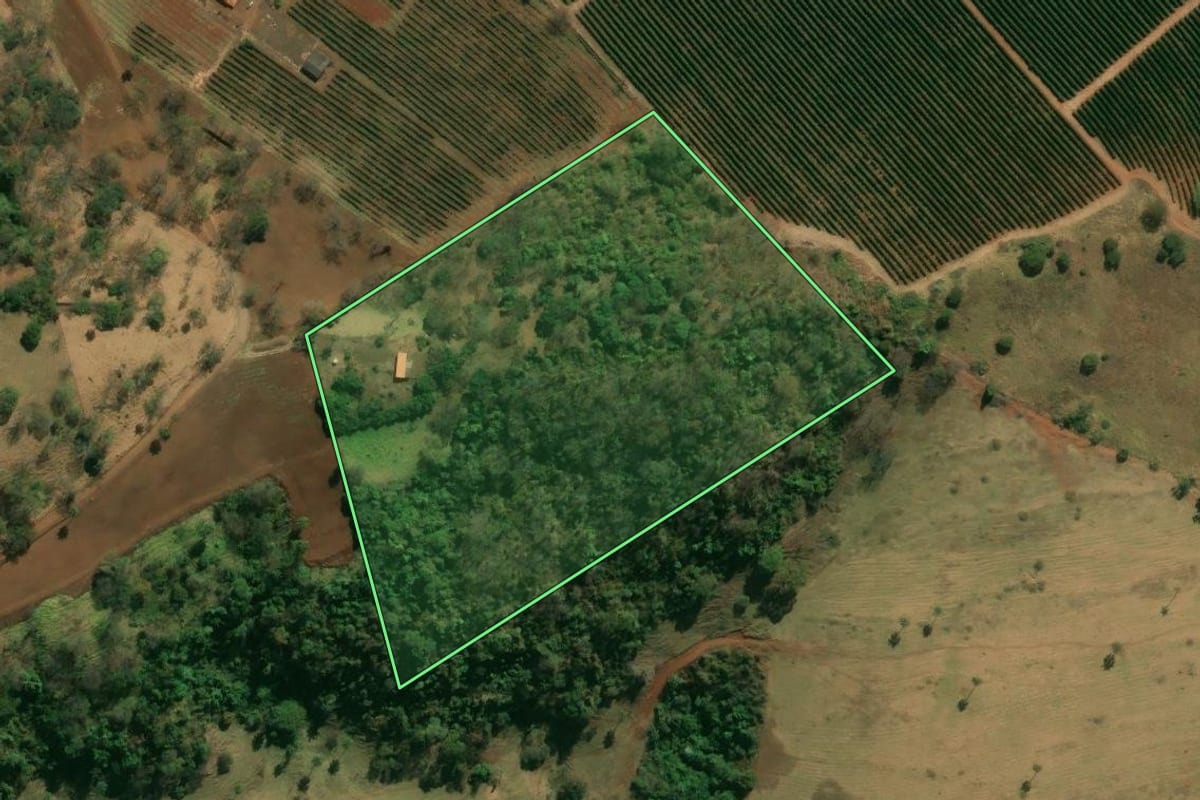 Imagem de satélite do imóvel rural em Cristais Paulista (SP), com o contorno declarado no CAR desenhado por cima.