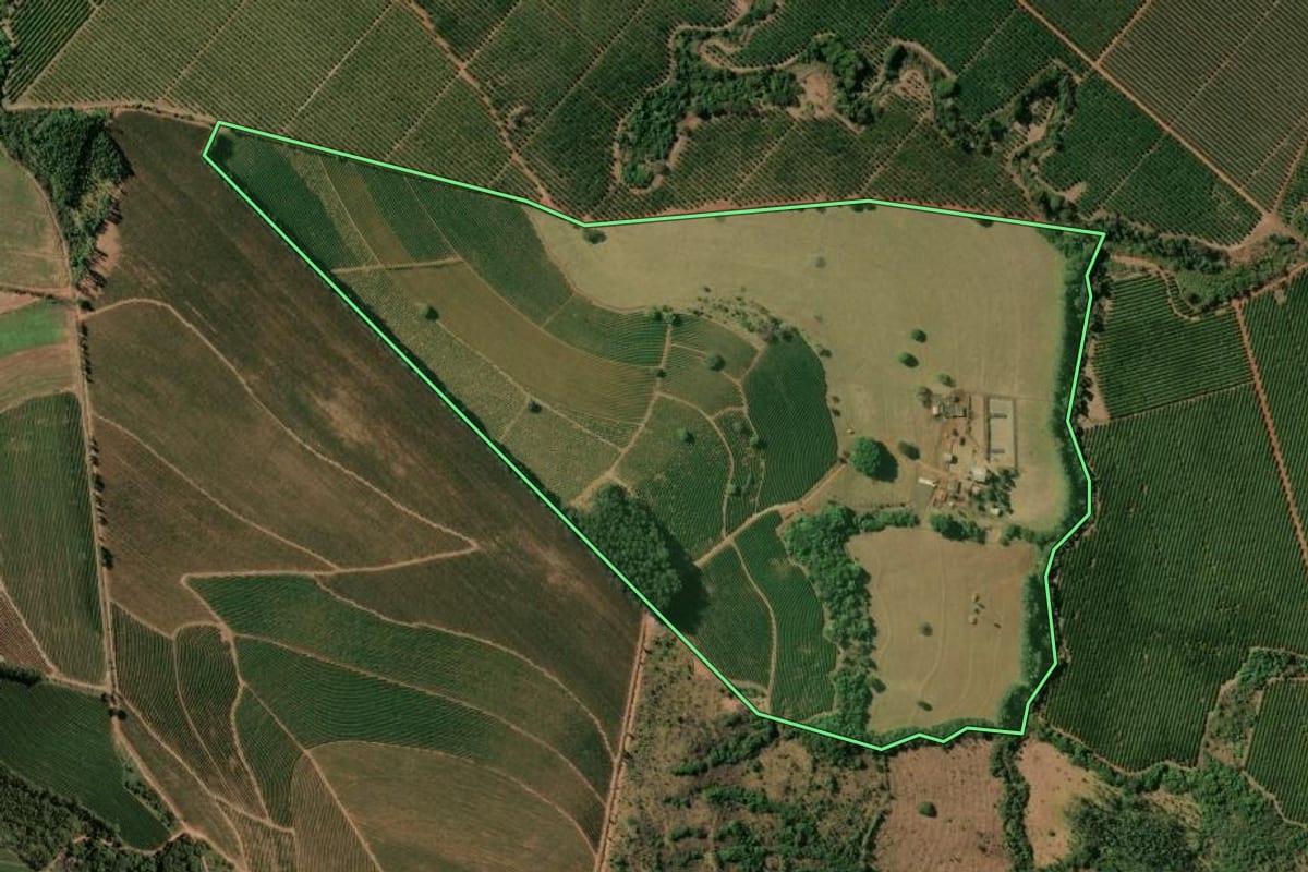 Imagem de satélite do imóvel rural em Cristais Paulista (SP), com o contorno declarado no CAR desenhado por cima.