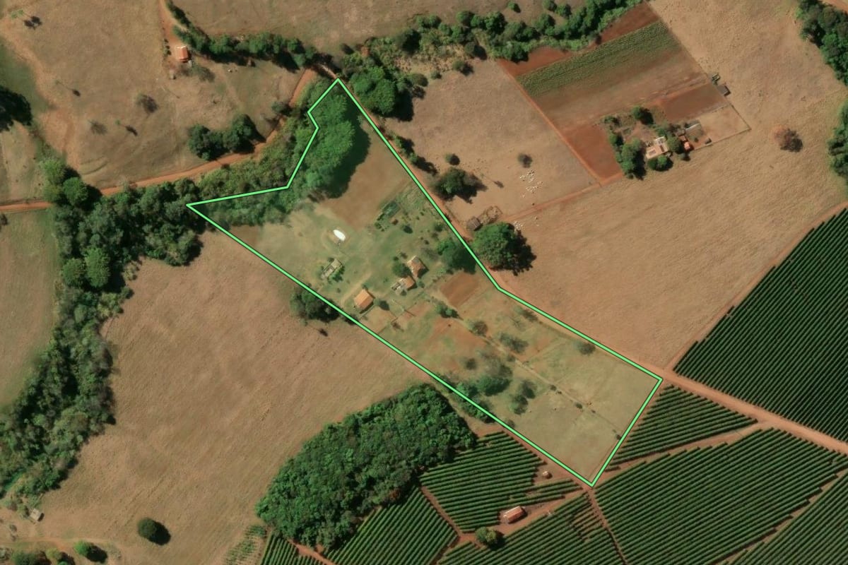 Imagem de satélite do imóvel rural em Cristais Paulista (SP), com o contorno declarado no CAR desenhado por cima.