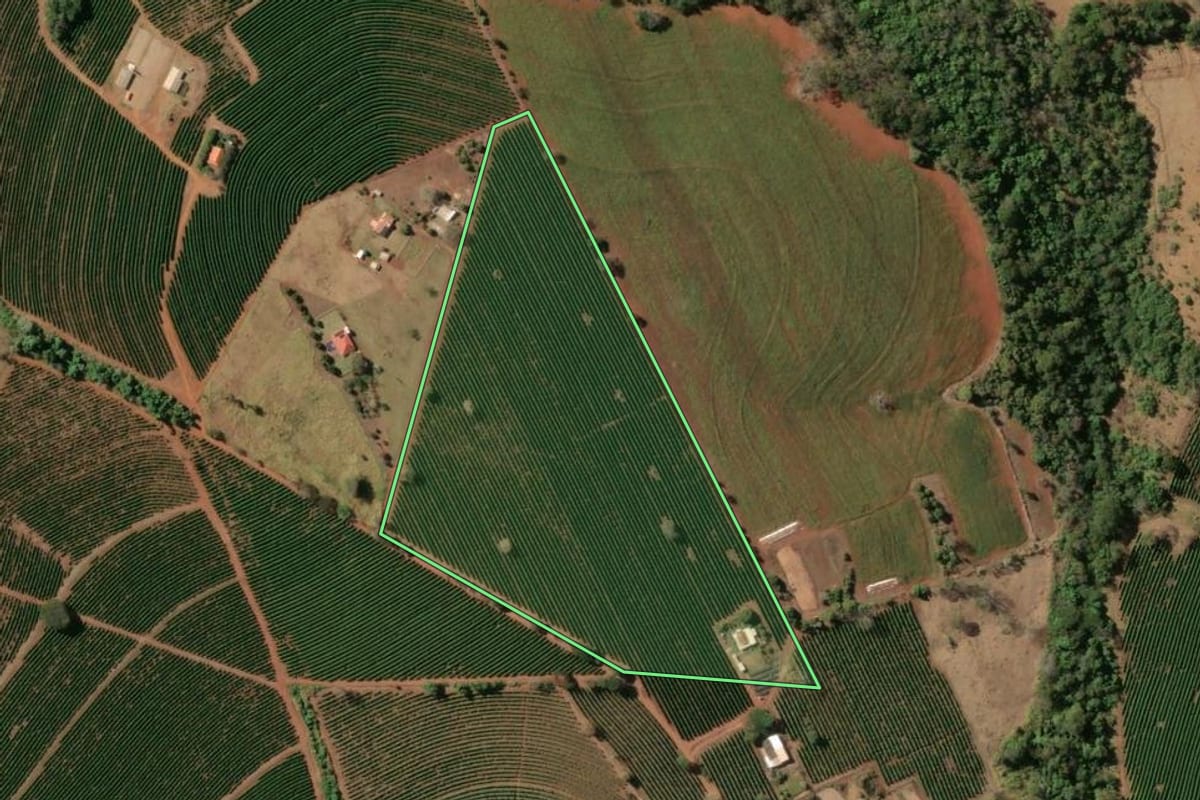 Imagem de satélite do imóvel rural em Cristais Paulista (SP), com o contorno declarado no CAR desenhado por cima.
