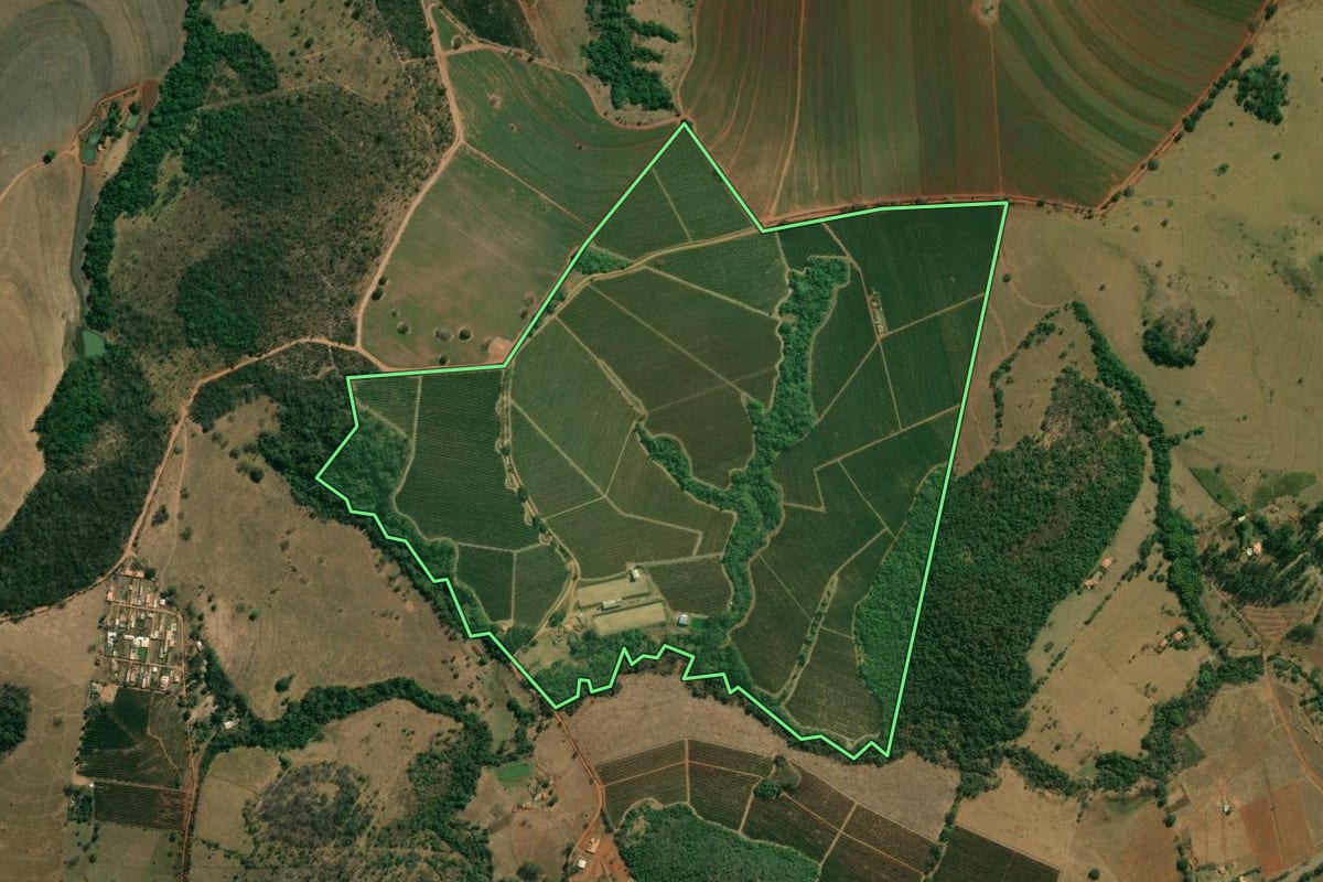 Imagem de satélite do imóvel rural em Cristais Paulista (SP), com o contorno declarado no CAR desenhado por cima.