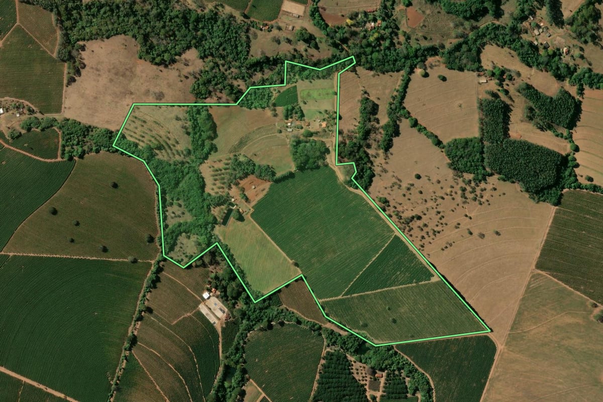 Imagem de satélite do imóvel rural em Cristais Paulista (SP), com o contorno declarado no CAR desenhado por cima.